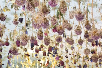 flower-installation-art-rebecca-louise-law-20